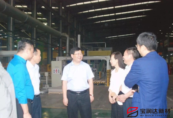 副市長張雪飛蒞臨寶潤達參觀調研